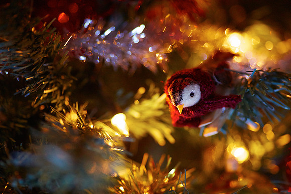 Happy Christmas!