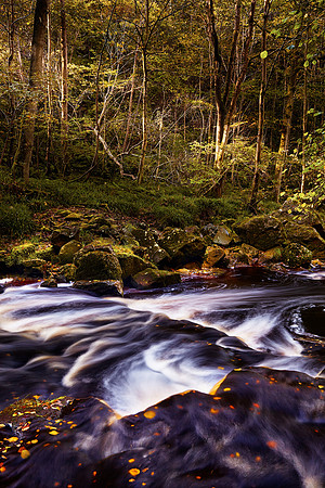 Autumn Sun, River Esk