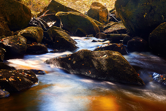 Autumn On The Esk, Goathland
