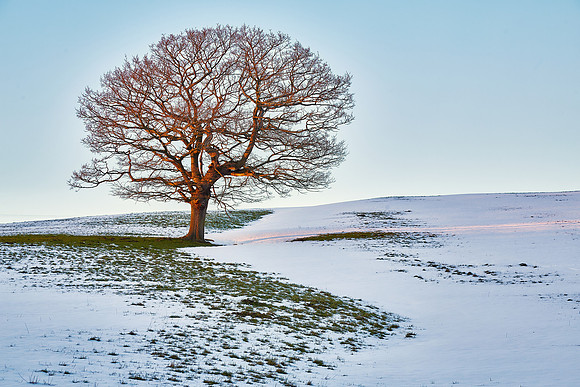Wintery Sunlight, Langbar