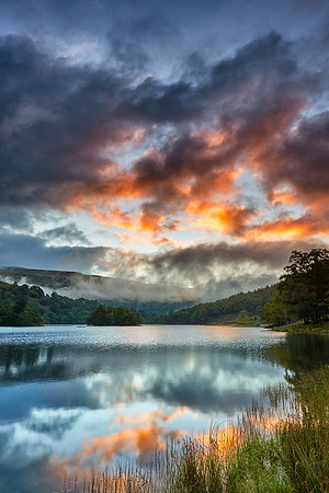 Rydal Water Sunrise - Portrait