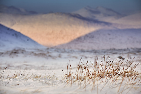Late Afternoon Sun, Glencoe Mountain Resort