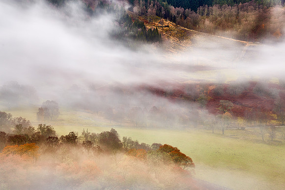 Autumnal Mist, Queens View, Pitlochry