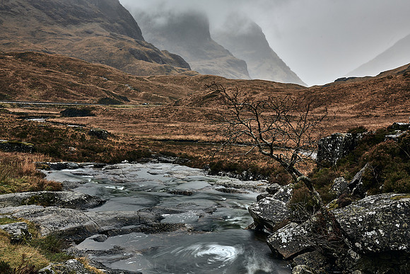 Lone Tree, Glen Coe