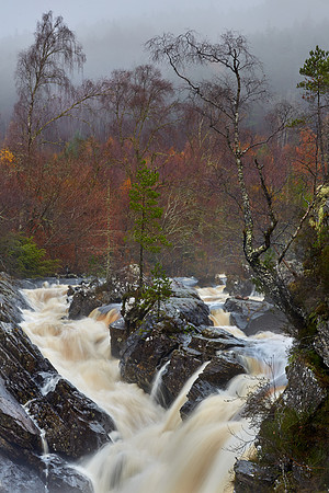 Rogie Falls in Autumn