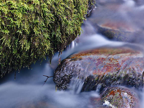 Stream Detail, High Force
