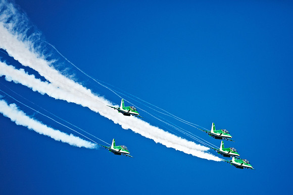 Saudi Hawks at Waddington 2012