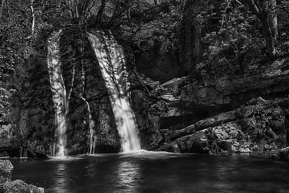 Janet's Foss Black and White