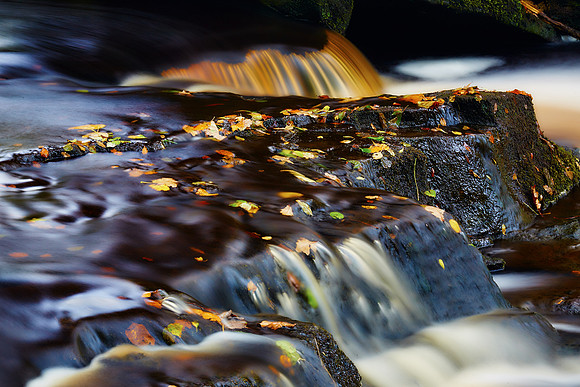 After Autumn Rain