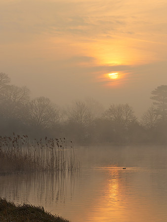 A Misty Start, Castle Howard